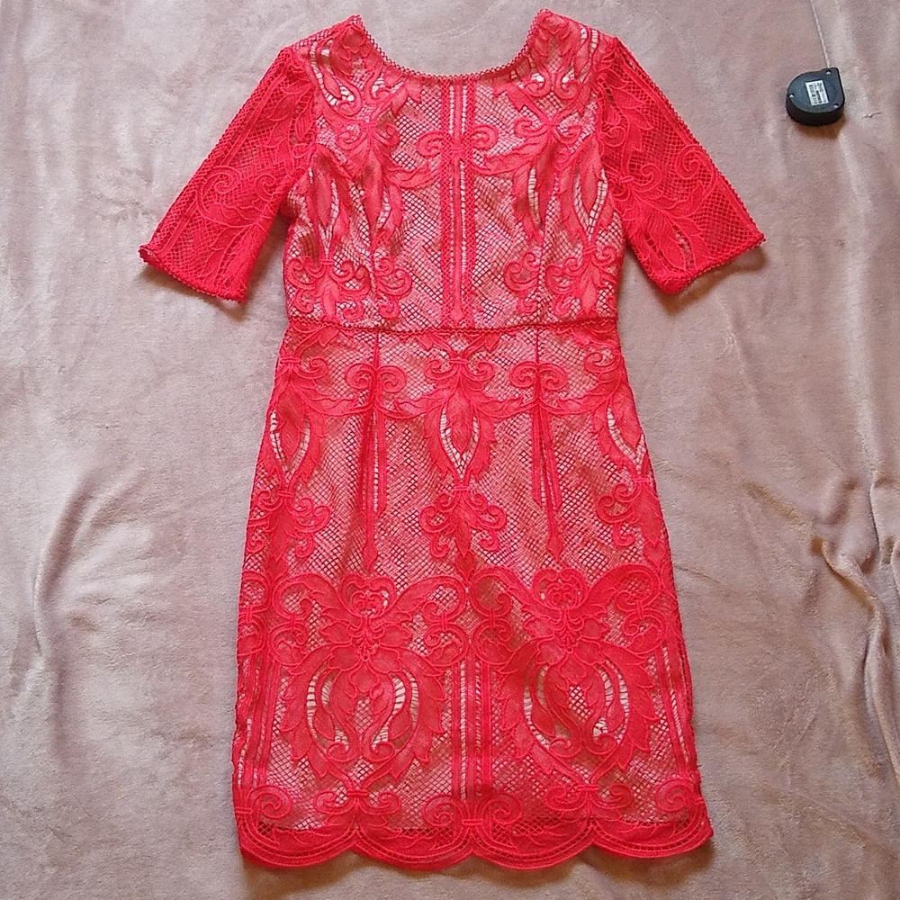 Reiss Zola Lace Overlay Scallop Edge Deep V Back Shift Dress